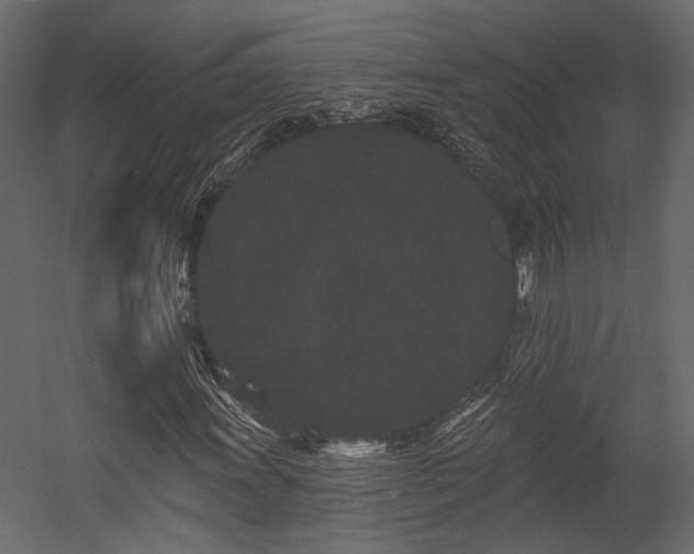 X0000054461011200508011456