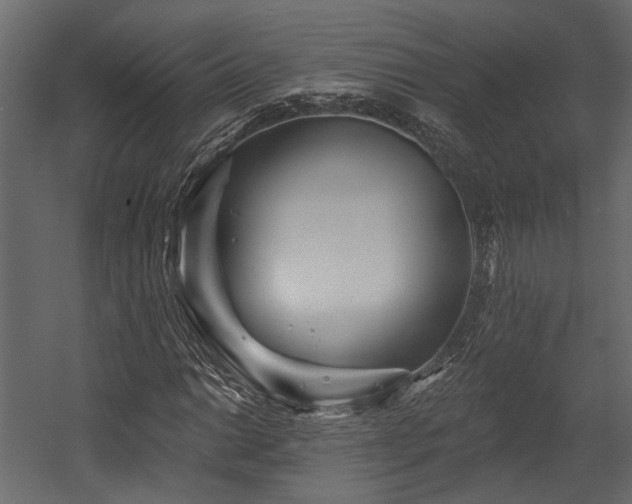 X0000054461014200508011456