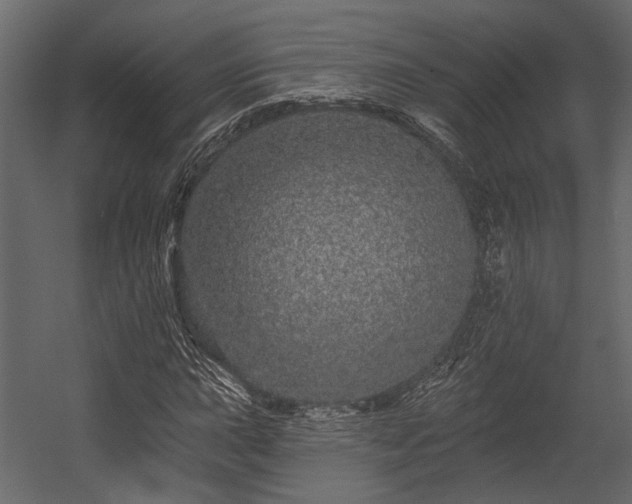 X0000054461015200508011456