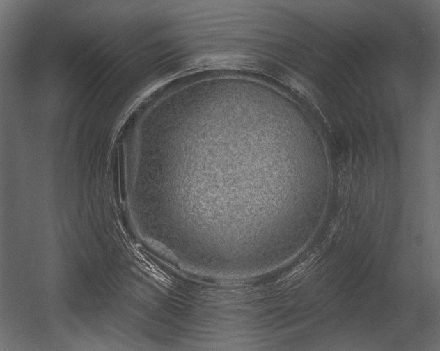 X0000054461019200508011456