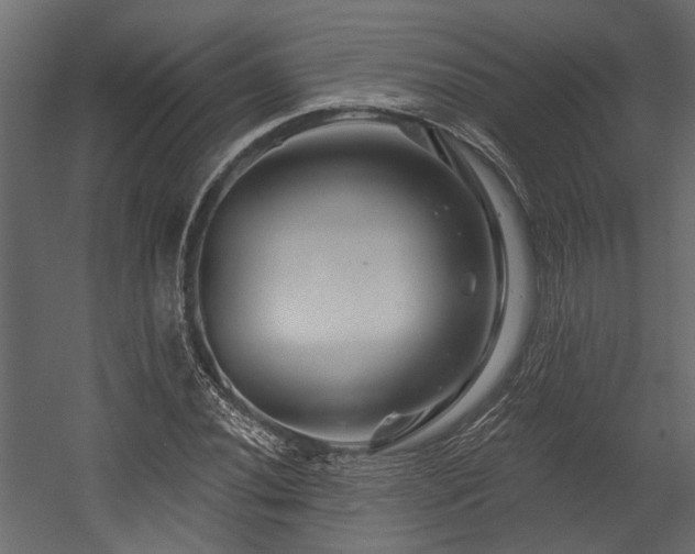 X0000054461020200508011456