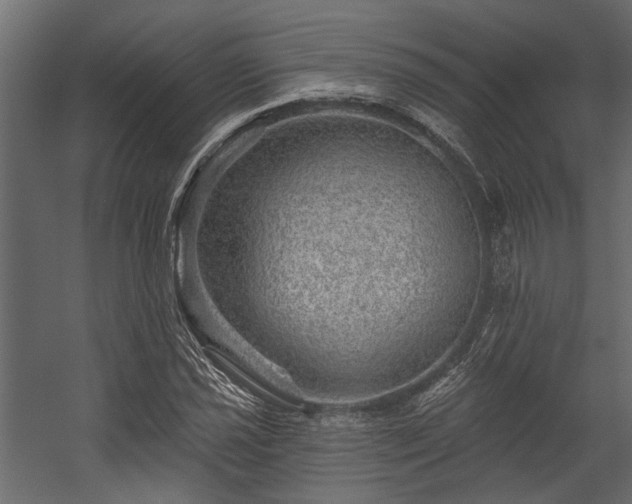 X0000054461021200508011456