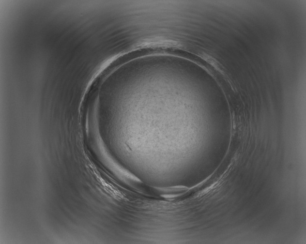 X0000054461022200508011456