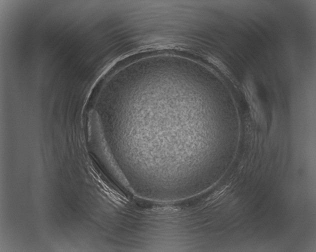 X0000054461023200508011456