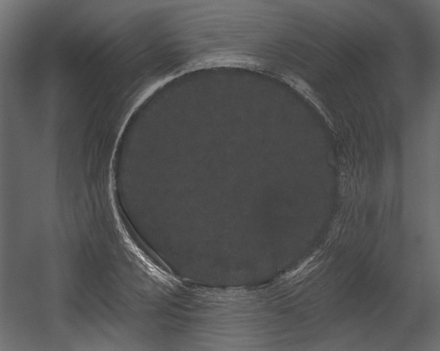 X0000054461024200508011456