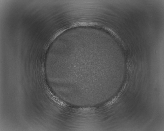 X0000054461025200508011456