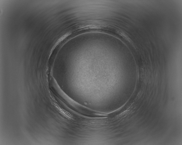 X0000054461026200508011456