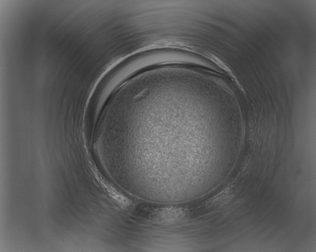 X0000054461029200508011456