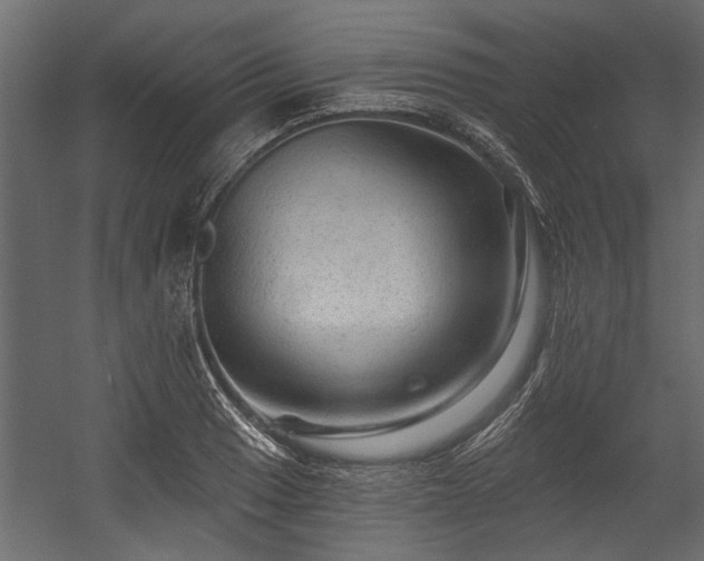 X0000054461033200508011456