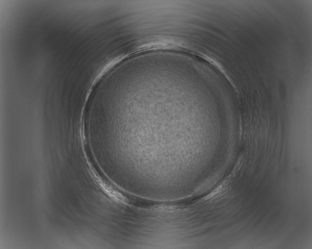 X0000054461034200508011456