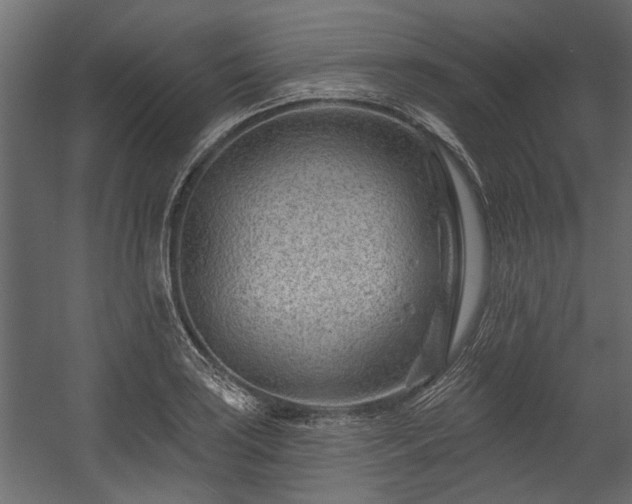 X0000054461035200508011456