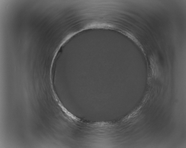 X0000054461037200508011456