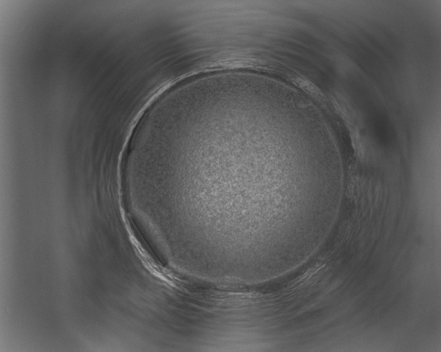 X0000054461039200508011456