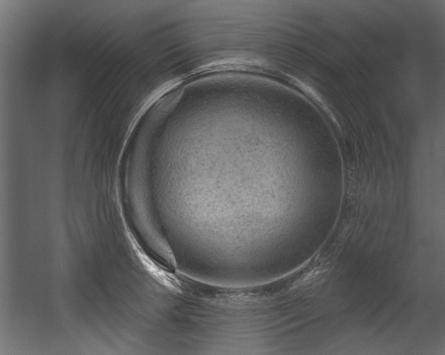 X0000054461042200508011456