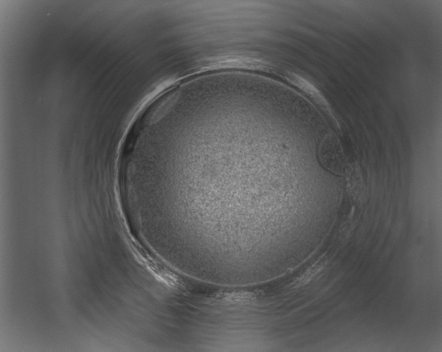 X0000054461043200508011456