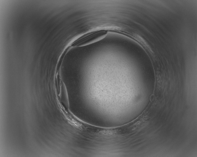 X0000054461044200508011456