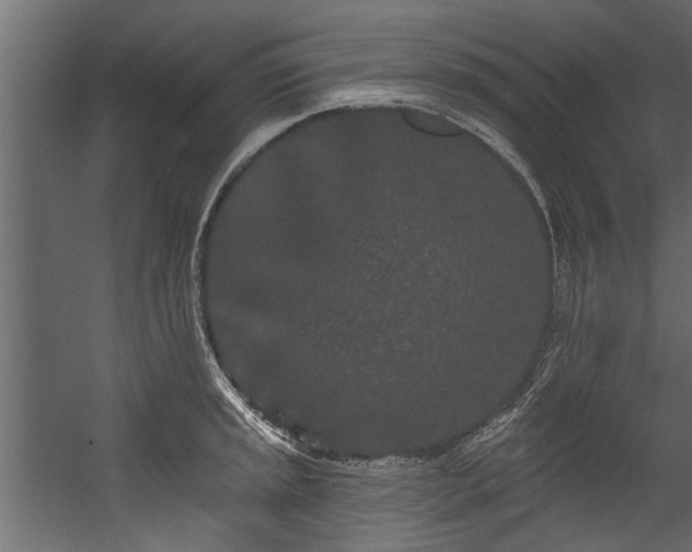 X0000054461045200508011456