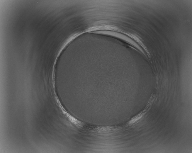 X0000054461046200508011456