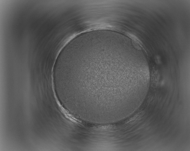 X0000054461047200508011456