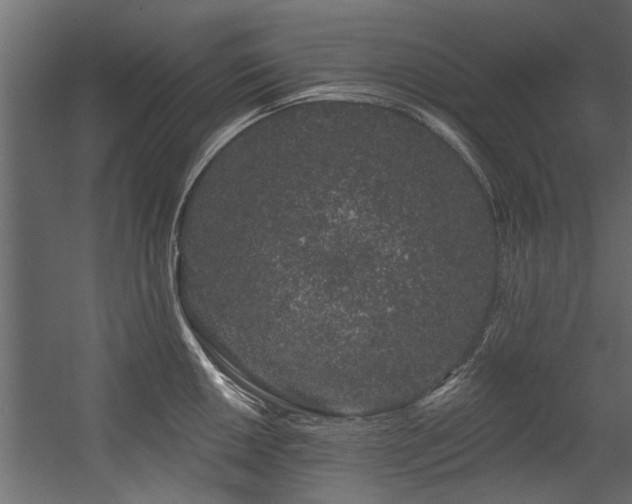 X0000054461050200508011456