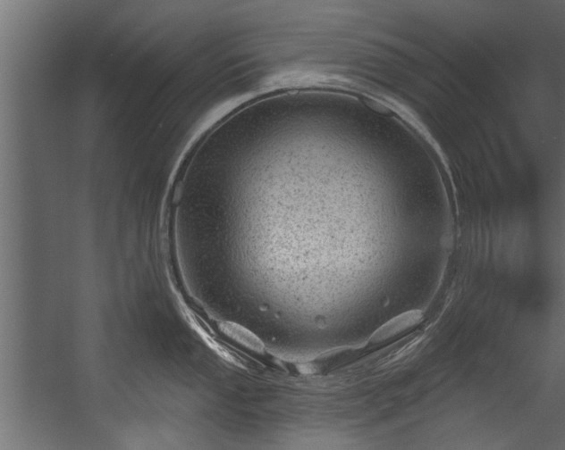 X0000054461053200508011456