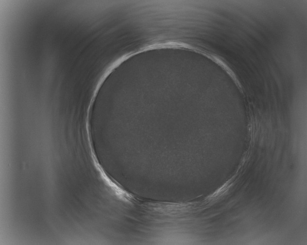 X0000054461054200508011456