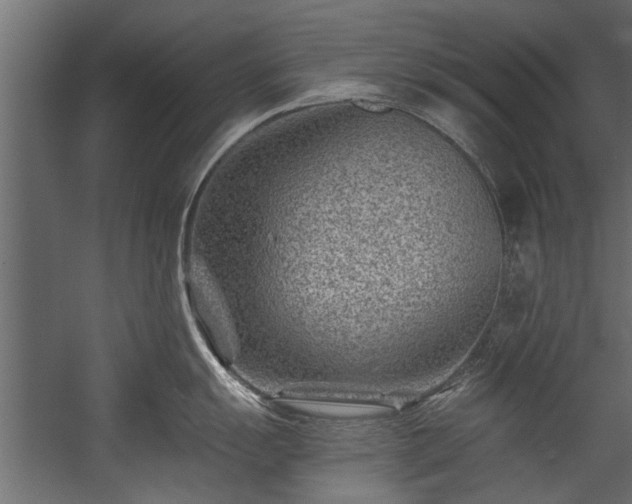 X0000054461055200508011456