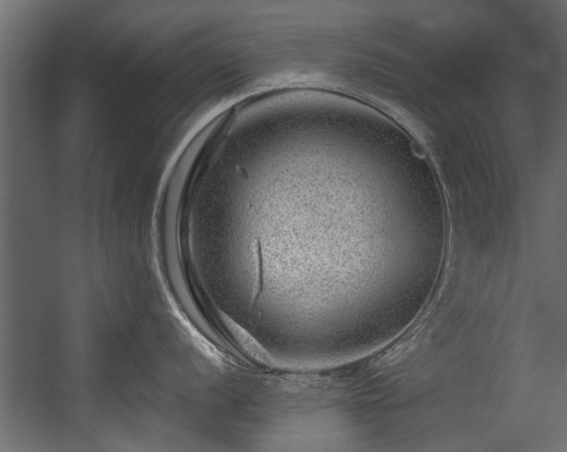 X0000054461056200508011456