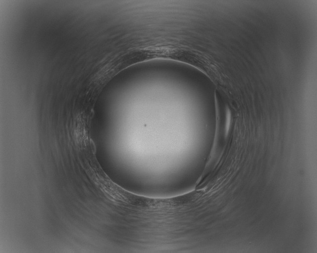 X0000054461058200508011455