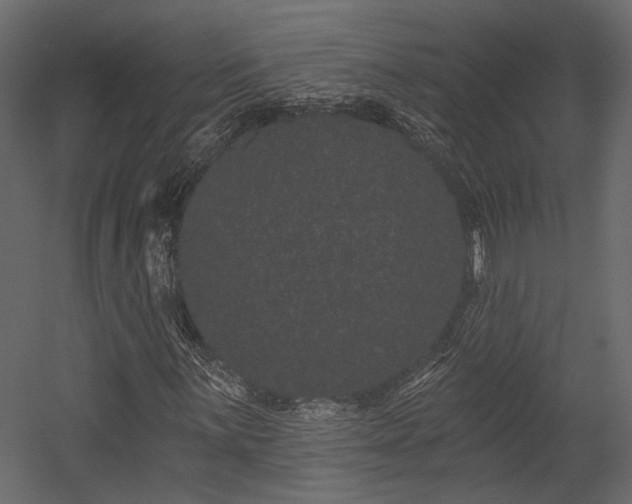 X0000054461059200508011455