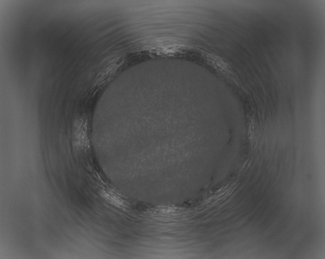 X0000054461060200508011455