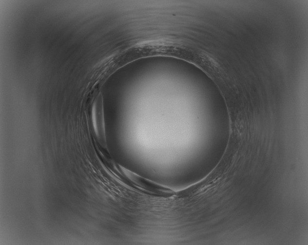 X0000054461062200508011455