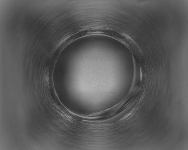 X0000054461065200508011455