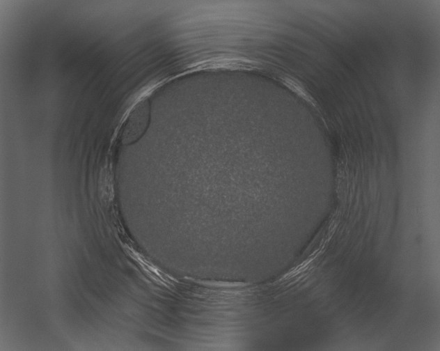 X0000054461067200508011455