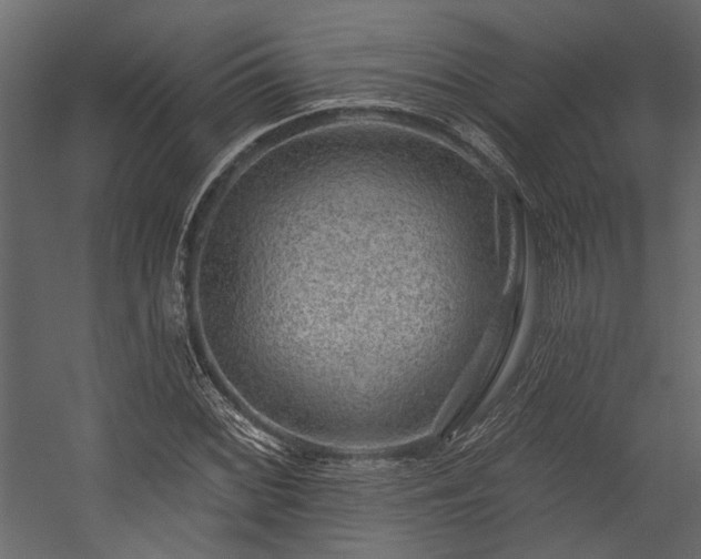 X0000054461068200508011455