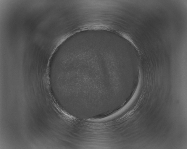 X0000054461071200508011455