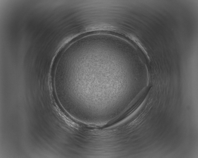 X0000054461072200508011455