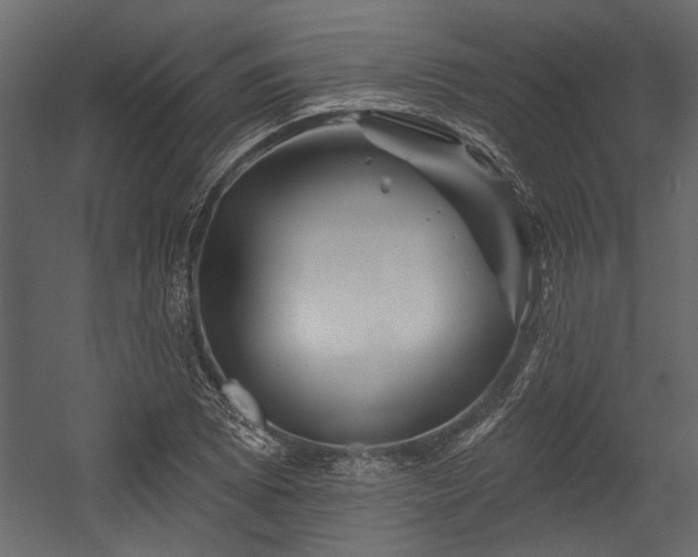 X0000054461073200508011455