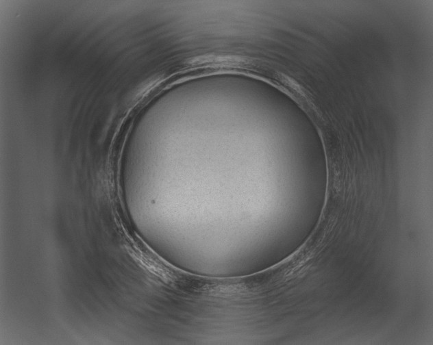 X0000054461074200508011455