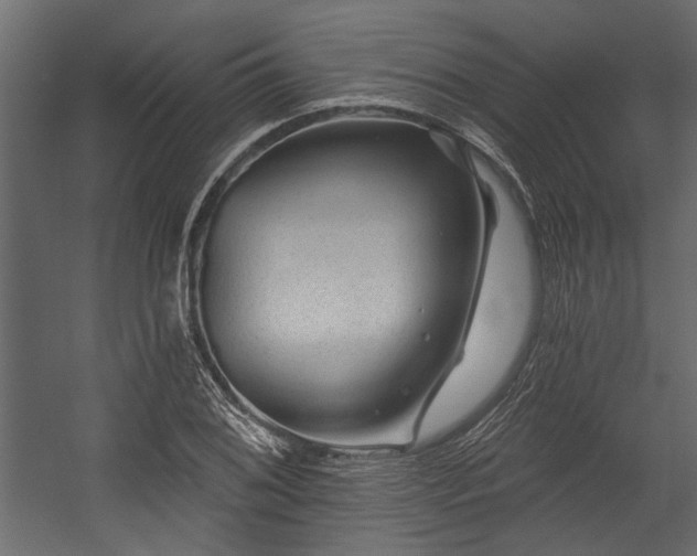 X0000054461076200508011455