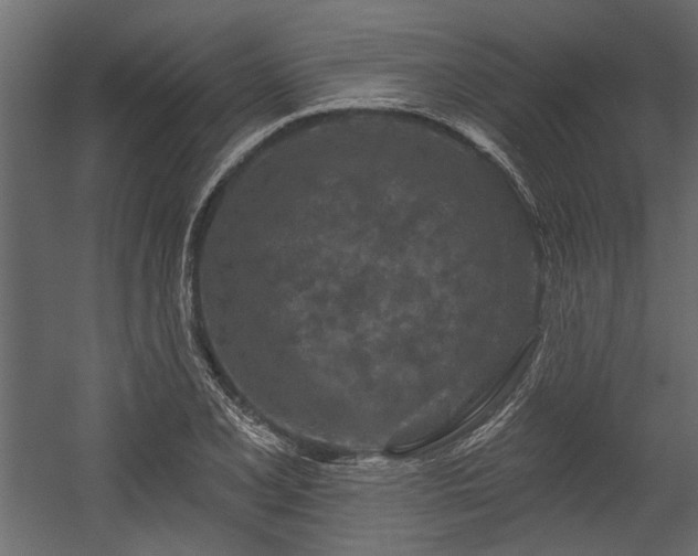 X0000054461077200508011455