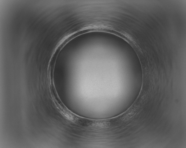 X0000054461078200508011455