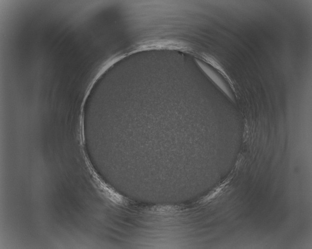 X0000054461079200508011455