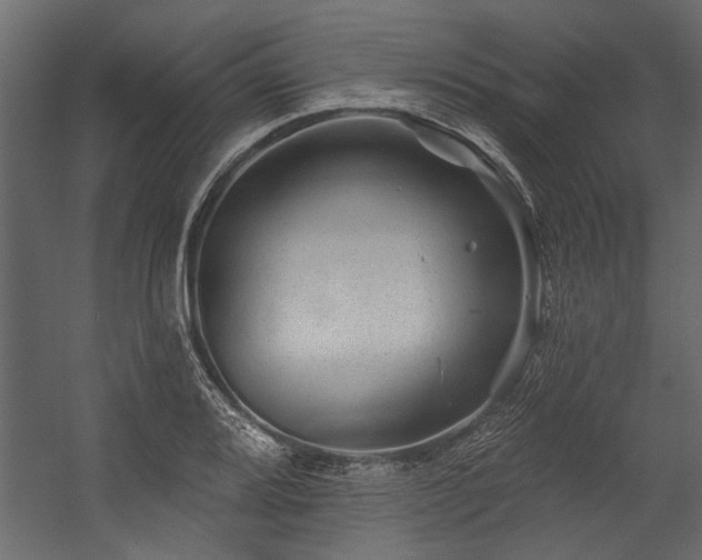 X0000054461080200508011455