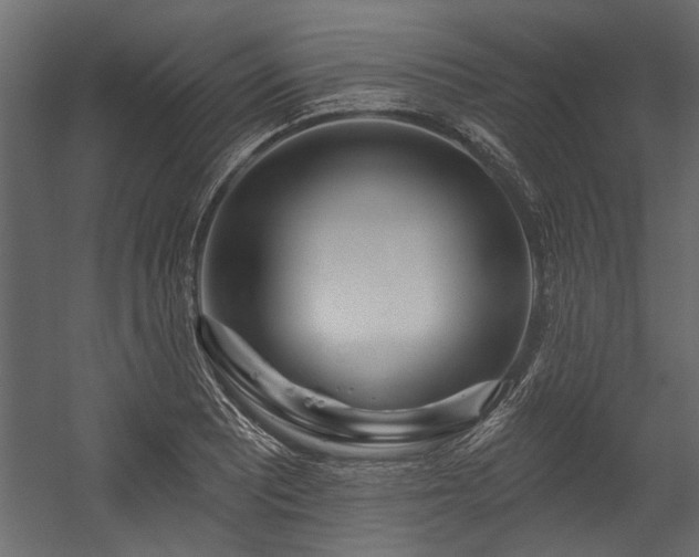 X0000054461081200508011455