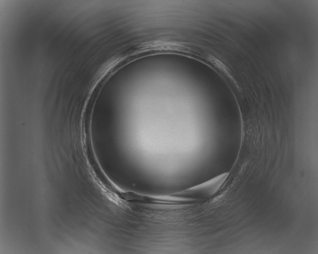 X0000054461082200508011455