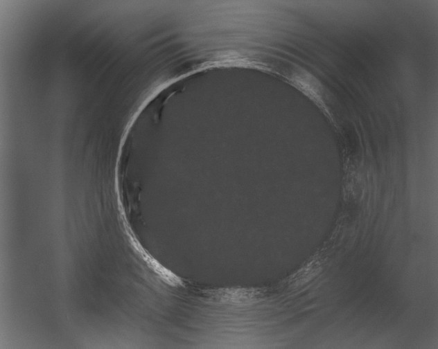 X0000054461084200508011455