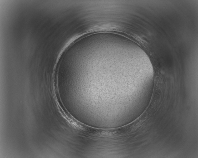 X0000054461086200508011455