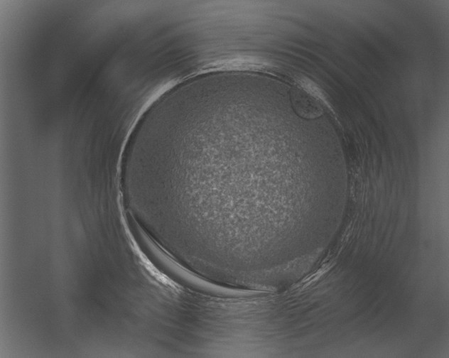 X0000054461087200508011455