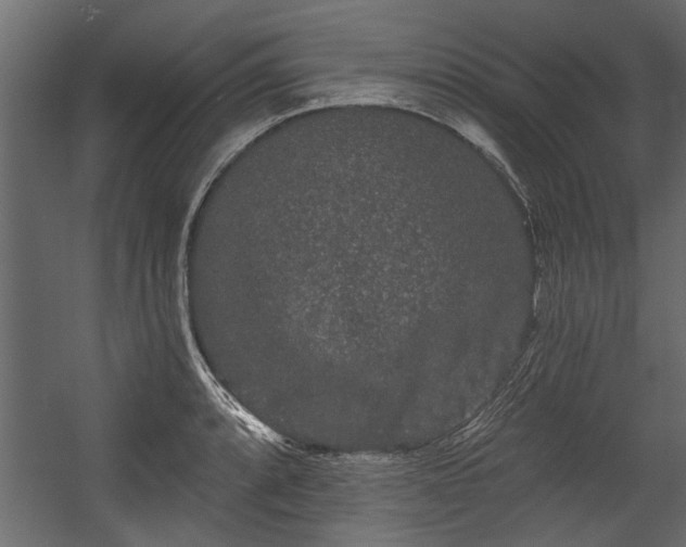 X0000054461088200508011455